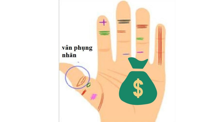 Đường vân này hình mắt phượng sẽ tốt lành