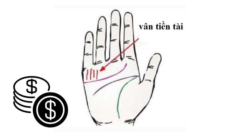 Đường vân tiền tài báo hiệu sự giàu có