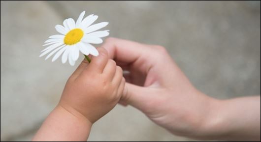 Vì thế, chúng ta nên cảm ơn những người thầy, người cô đã nhẫn nại, giảng giải, dạy dỗ, truyền đạt lại kiến thức cho chúng ta một cách vô tư. (ảnh minh họa)