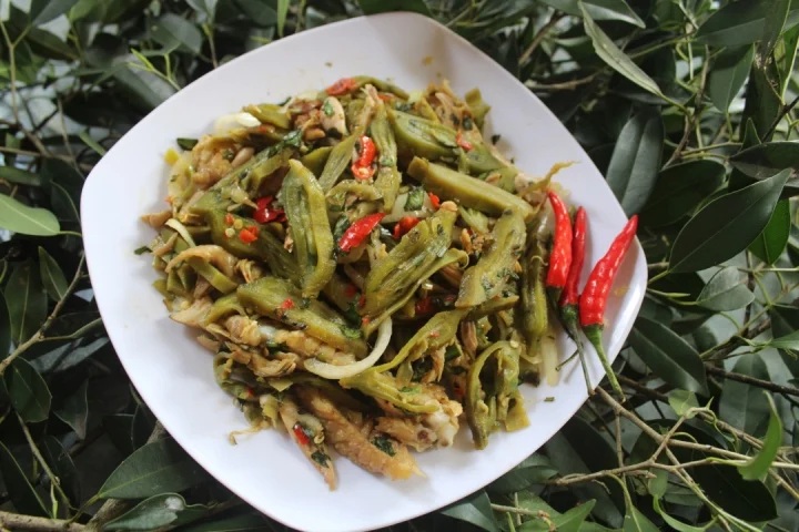 Nộm quả núc nác rừng