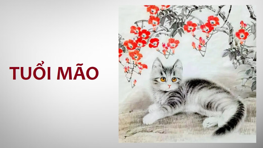 Tuổi Mão được tử vi dự báo có thể hưởng tình - tiền viên mãn trong giai đoạn trước ngày 7/7 dương lịch.