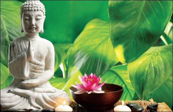 Hiếu thảo với cha mẹ chính là việc bản thân mình nên làm, hiếu thảo với cha mẹ là để tâm an lạc.  (ảnh minh họa)