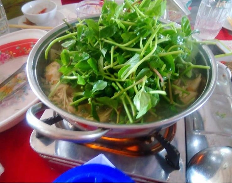 Trên thị trường, rau lỗ bình có giá lên tới 120.000 đồng/kg