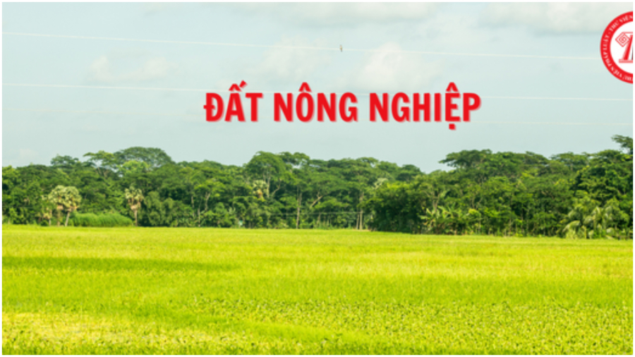 Thu hồi đất nông nghiệp người dân được nhận đền bù những gì?
