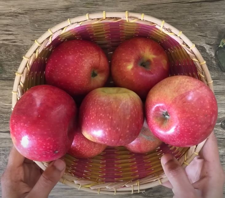 Mỗi loại táo sẽ cho ra một hương vị giấm có phần khác biệt. Khi làm giấm táo tại nhà, bạn có thể lựa giống táo mà mình thích tùy theo khẩu vị.