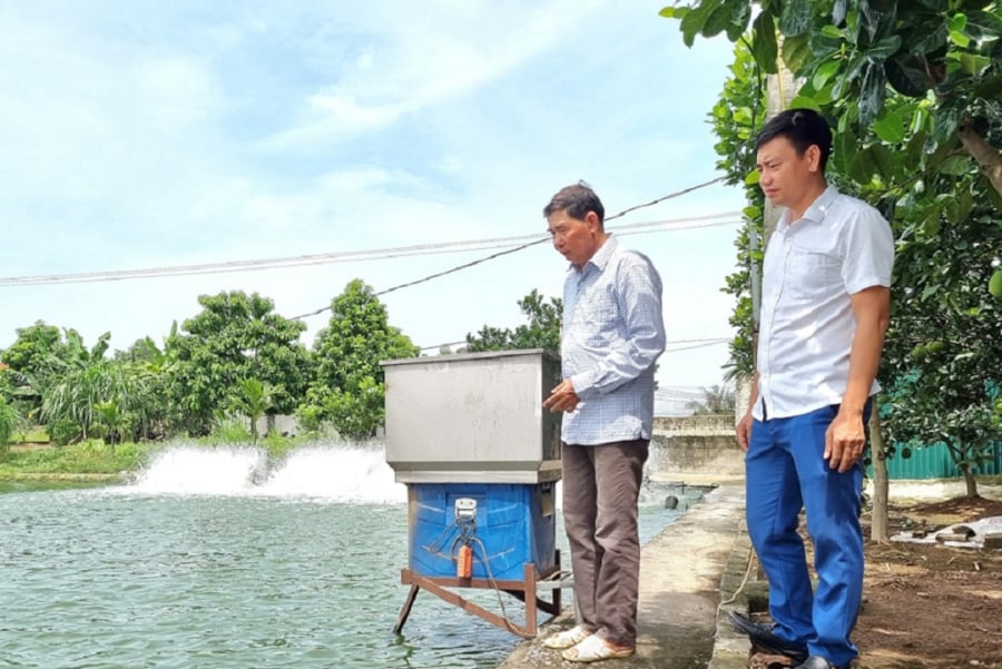 Với khát vọng làm giàu trên mảnh đất quê hương, anh Thịnh đã tạo ra đột phá về năng suất, chất lượng sản phẩm và giảm thiểu ô nhiễm môi trường