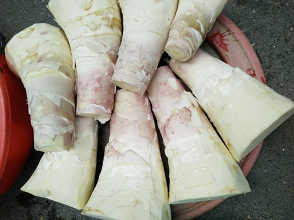 Nhiều phụ nữ mang thai ăn măng sẽ bị ngộ độc