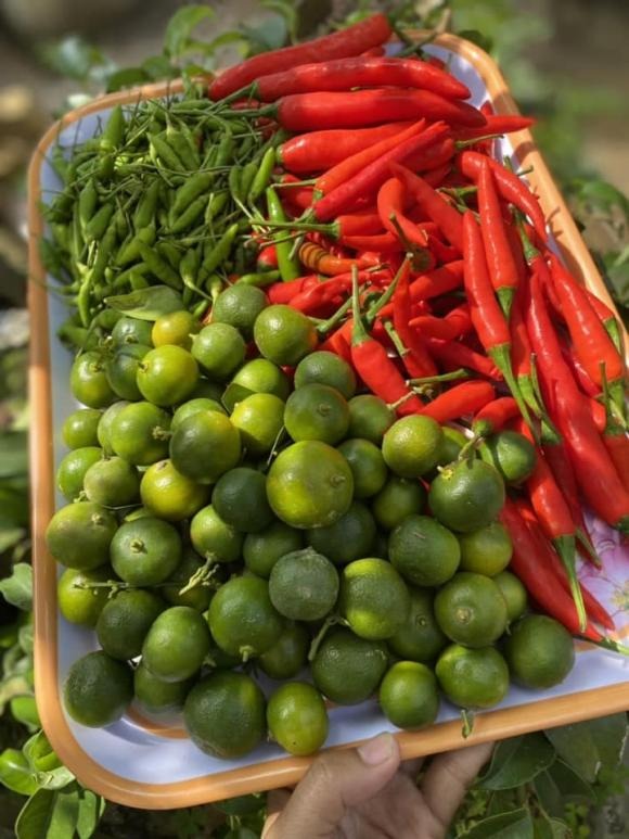 Nguyên liệu cần chuẩn bị là ớt, quất, muối hạt, sữa đặc ...