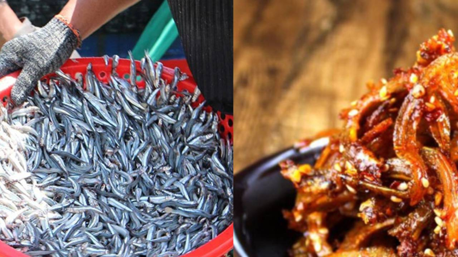 Cá cơm là nguồn cung cấp phong phú các vitamin và khoáng chất thiết yếu cho Sh88bet đăng ký miễn phí
