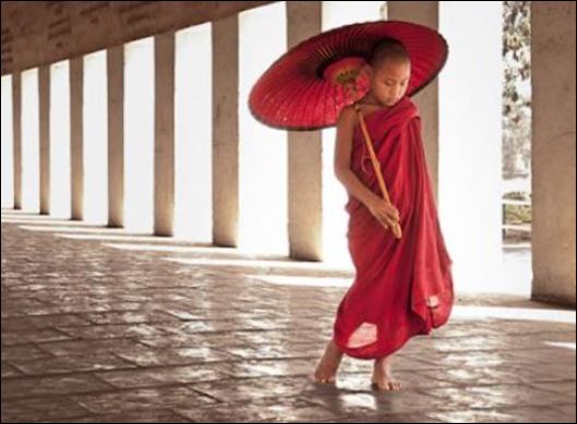 Ham muốn càng nhiều thì càng vất vả, khổ sở. (ảnh minh họa)