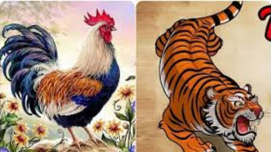 Cuối tháng 5 âm lịch là khoảng thời gian vô cùng may mắn đối với người tuổi Dậu
