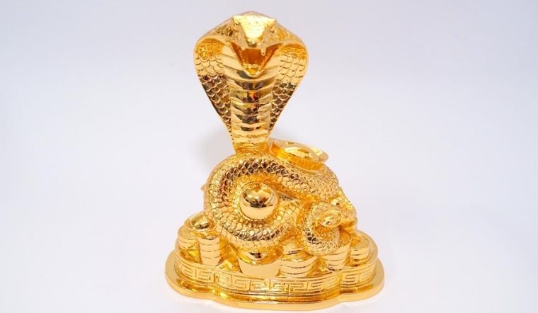 Trong phong thủy, rắn đại diện cho cả hai mặt thiện và ác
