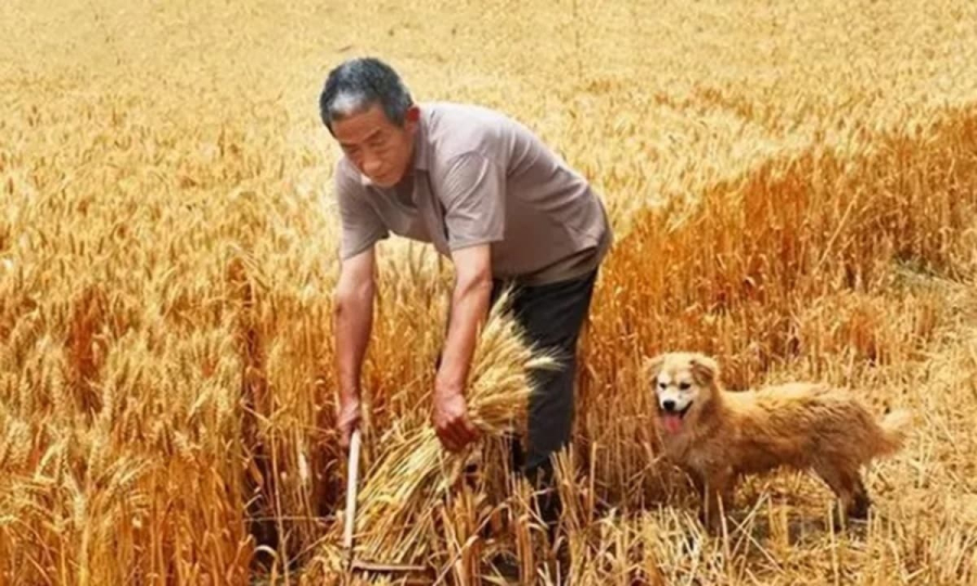 Đàn ông sợ tháng tám, đàn bà sợ tháng 12 âm lịch