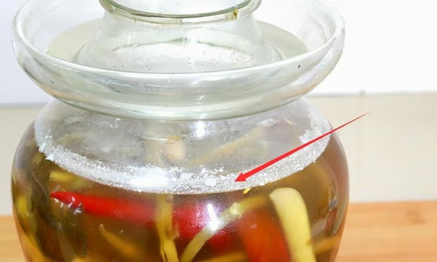 Rất nhiều nguyên nhân khiến dưa nổi váng