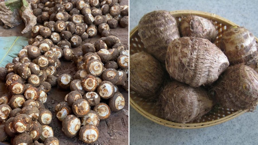 Khoai sọ có thể gây ra ngứa tay nếu không biết cách sơ chế.