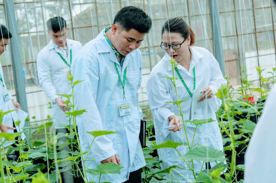 Ngành Công nghệ rau hoa quả và cảnh quan đang bị thiếu hụt nhân lực.