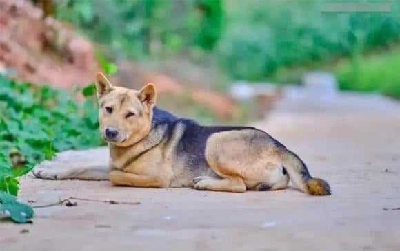 Truyền thống dân gian có câu 