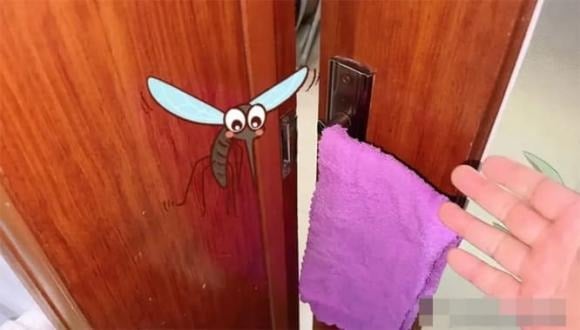 Mùa hè thường bật điều hòa, còn mùa đông thì dùng máy sưởi, khiến phòng rất khô.