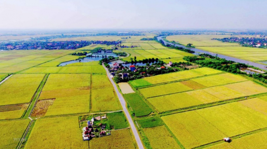Nếu trường hợp người nộp thuế mà thuộc diện được giảm thuế sử dụng đất phi nông nghiệp theo hai điều kiện trở lên thì được miễn hoàn toàn thuế sử dụng đất.
