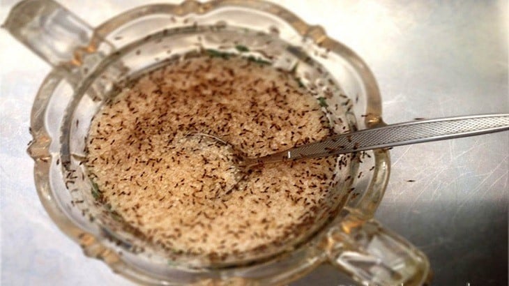 Dùng tỏi đuổi kiến