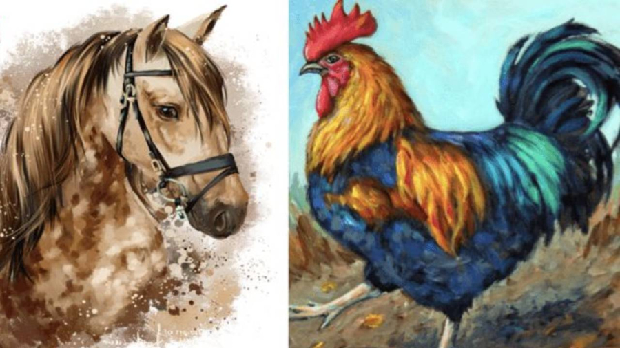 Từ 8/7 đến 14/7, tuổi Dậu có cát tinh soi chiếu nên phất lên không ngừng
