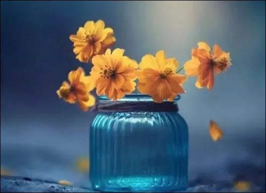 Thế nên bạn đừng đùn đẩy trách nhiệm cho người khác, không dám nhận trách nhiệm cho mình. (ảnh minh họa)