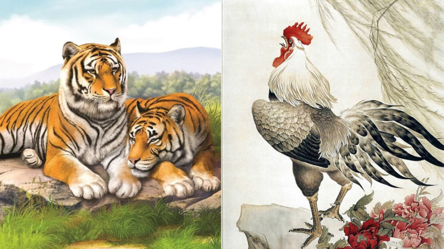 Tử vi dự báo rằng vận trình của người tuổi Dần và người tuổi Dậu trong thời gian tới có nhiều may mắn, tiền của rủng rỉnh.