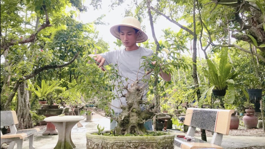 Thầy giáo âm nhạc Nguyễn Đại Thụ, 28 tuổi, sống tại Hà Nội, đã chọn con đường Shbet0099 cá cược World Cup 2026 với bonsai cây sanh