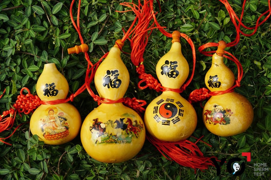 Treo quả bầu    