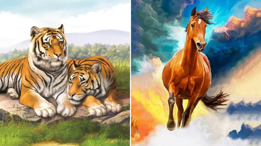 Tử vi dự báo rằng người tuổi Ngọ và người tuổi Dần trong giai đoạn từ 7/7 đến 17/7 có nhiều may mắn, cơ hội làm ăn tốt sẽ xuất hiện.