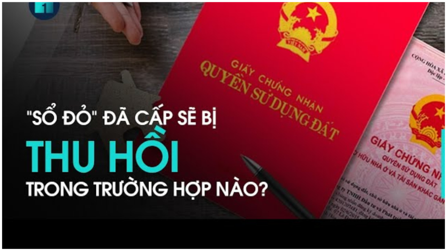 6 trường hợp người dân bị thu hồi Link nhập code shbet https freecode shbet pages dev từ 1/8