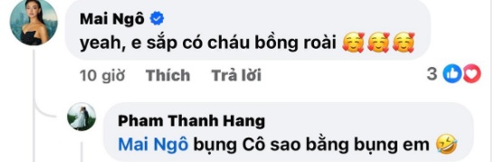 Mai Ngô để lại bình luận ẩn ý chuyện Thanh Hằng mang bầu.  