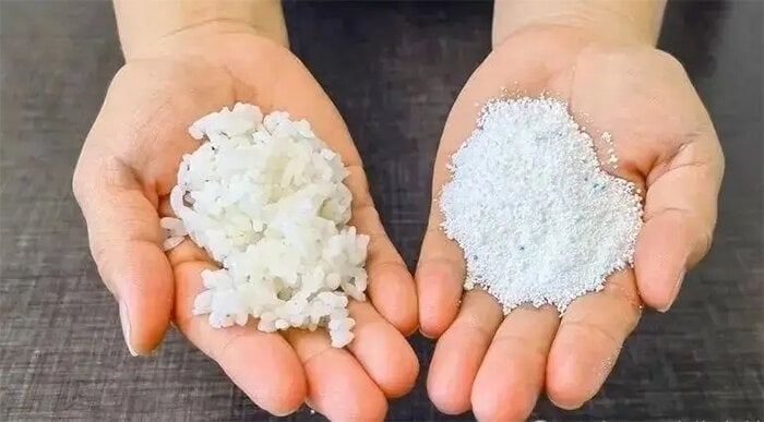 Đảm bảo dọn dẹp thường xuyên để giữ nhà cửa sạch sẽ và ngăn nắp. 