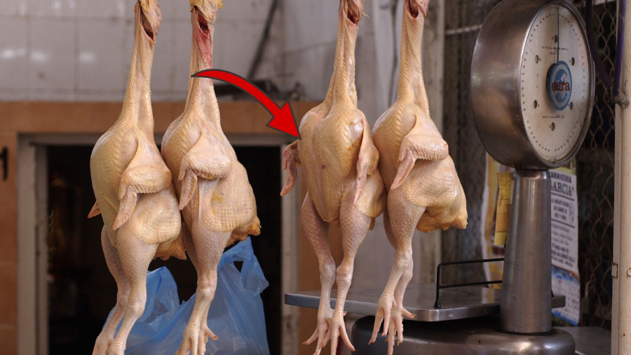 Thịt gà tốt cho sức khoẻ