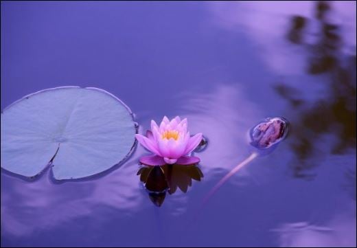 Nếu của mình thì không cần phải giữ, nếu đã không phải của mình có giữ cũng không được. (ảnh minh họa)