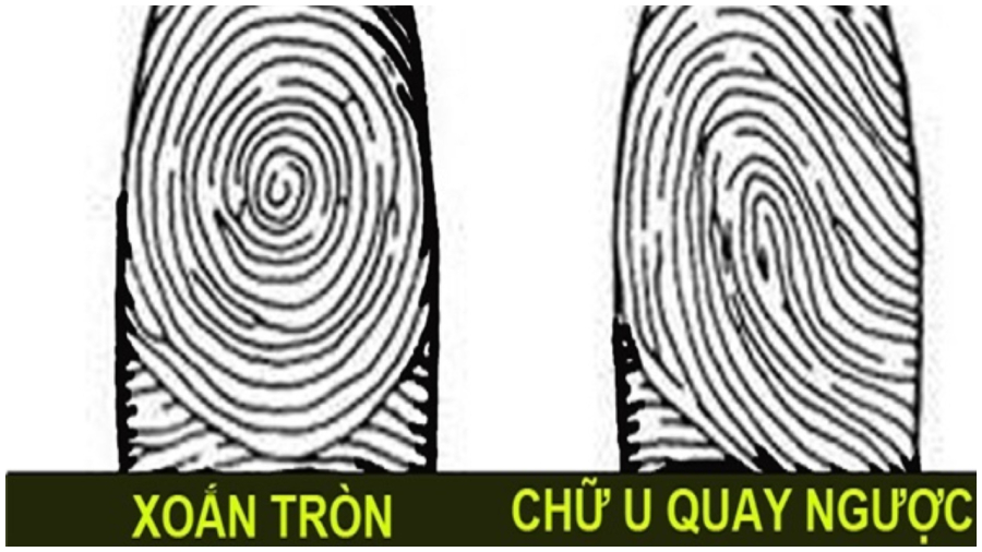 Nhìn số hoa tay biết tương lai bạn thành công hay thất bại