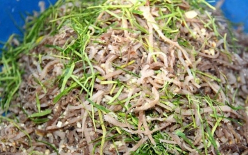 Để chế biến nham chuối đúng điệu, người nấu cần phải khéo léo trong việc lựa chọn gia vị