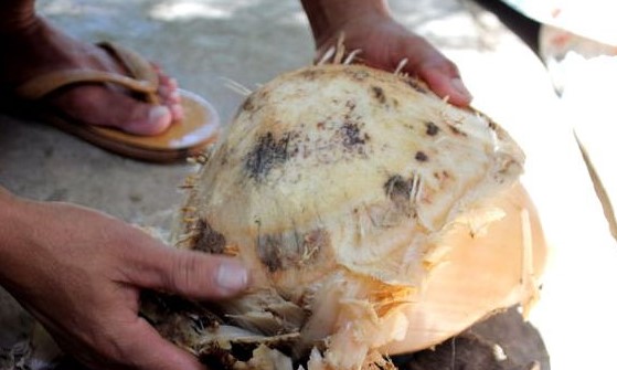 Điều đặc biệt của nham chuối là nó không tốn kém mà lại mang hương vị độc đáo