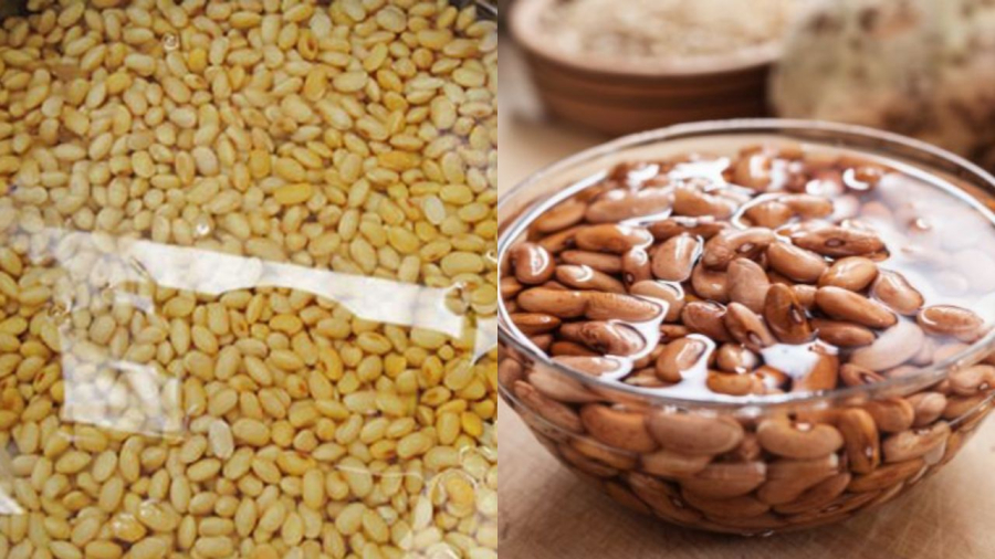 Ngâm nước giúp loại bỏ những thành phần gây hại trong hạt