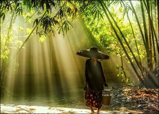 Muốn dưỡng tấm lòng khoan dung thì hãy tập trung vào ưu điểm của đối phương. (ảnh minh họa)