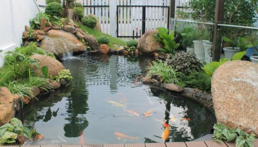 Hòn nam bộ, bể cá
