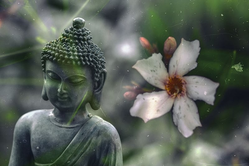 Làm người thì chúng ta nên tin vào nhân quả