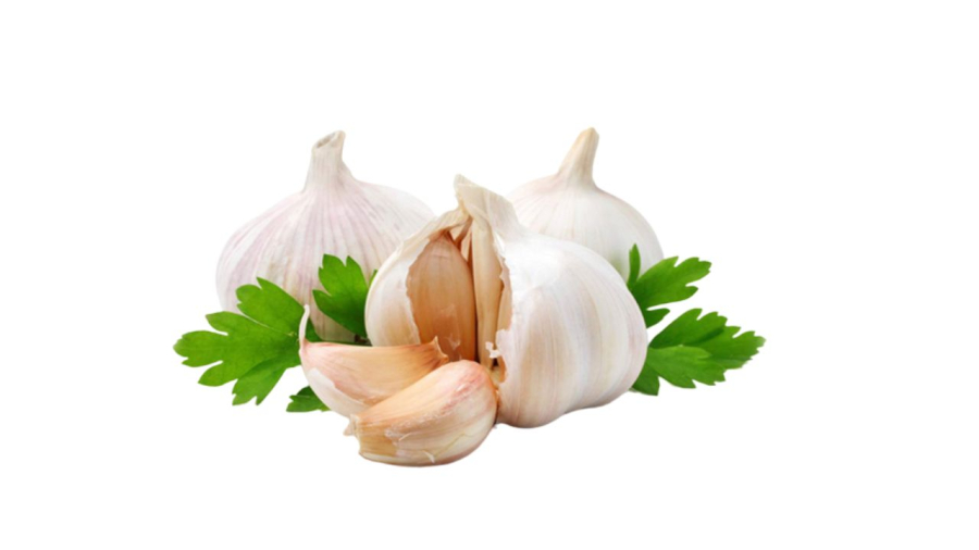 Tỏi giúp chống côn trùng đào bới hại cây