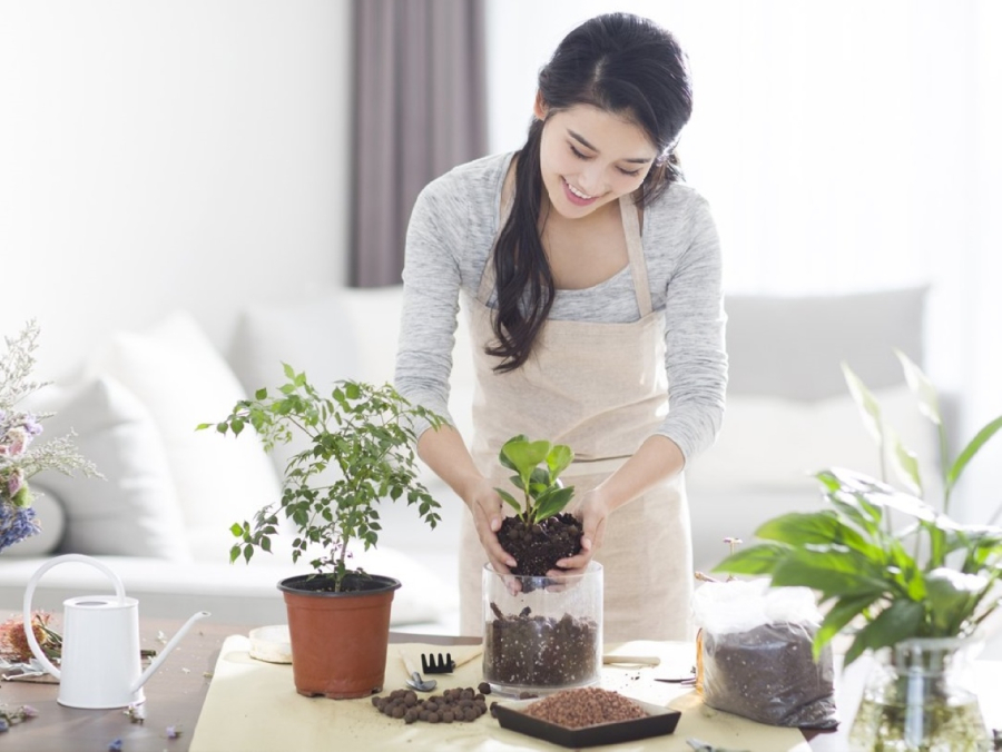 Thời gian chăm sóc cây không lấy đi của bạn nhiều hơn 5 phút mỗi ngày nhưng những gì mà nó mang lại thì không thể đong đếm được.