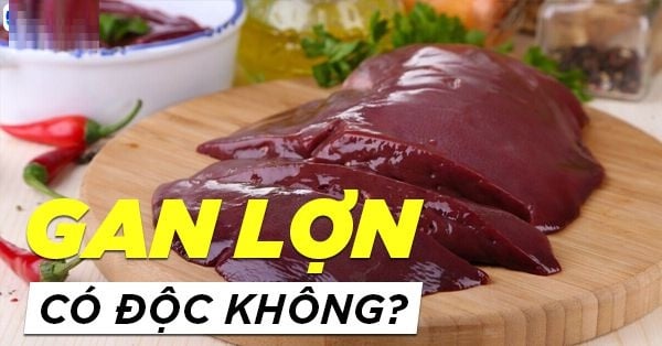 Gan là loại phủ tạng chứa nhiều chất đạm nhất. 