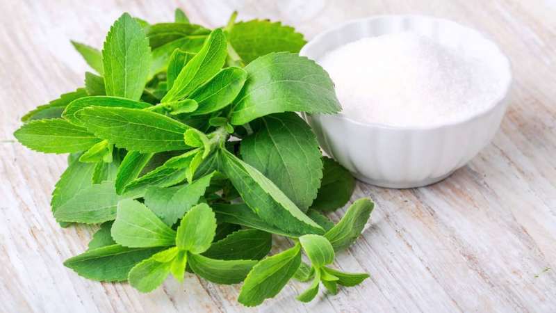 Chiết xuất từ cây cỏ ngọt có sẵn dưới dạng cả chất lỏng và bột  