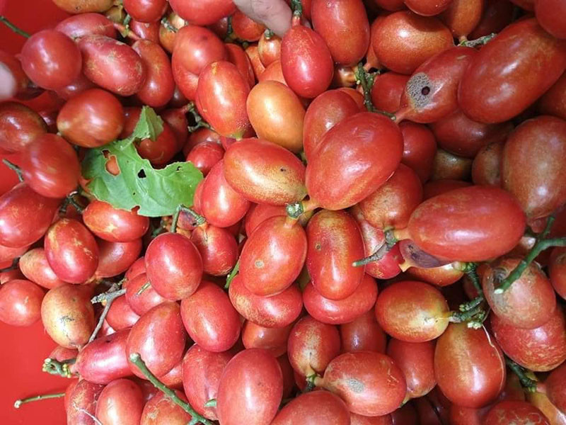 Ngoài việc ăn tươi, quả máu còn được ngâm với đường để tạo ra đồ uống giải khát vào mùa hè, hoặc dùng để chế biến rượu