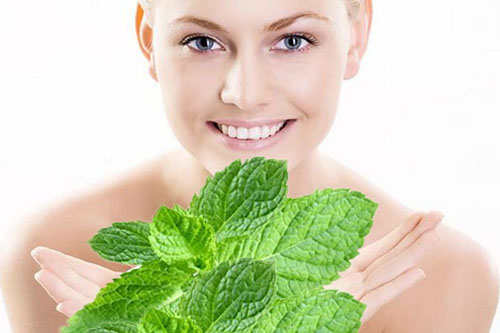 Lá bạc hà với thành phần nhiều dưỡng chất và tính kháng khuẩn cao có lợi cho Mừng SHBET phiên bản mới 2025.