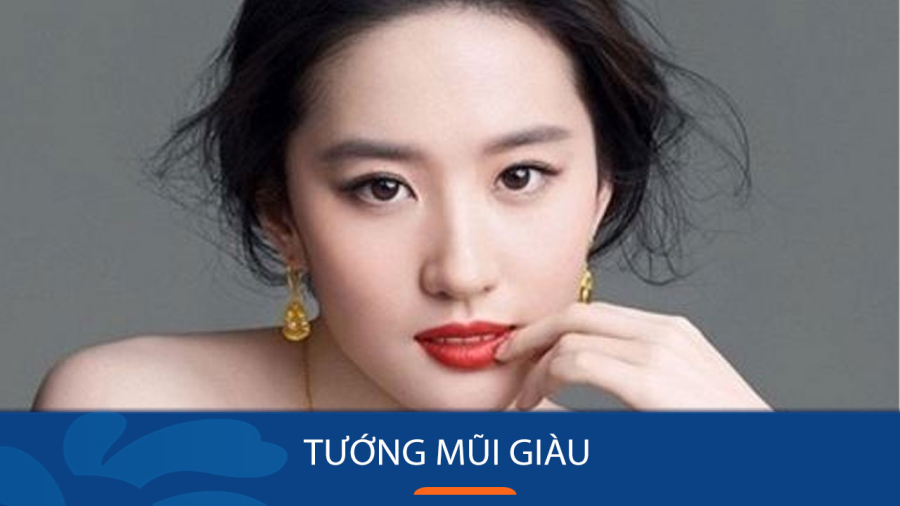Tướng phụ nữ giàu có
