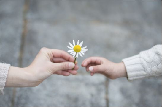 Họ làm việc chăm chỉ nhưng cũng dành thời gian để thư giãn và giải trí. (ảnh minh họa)